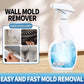 🔥2025 Hot Sale🔥Highly Effective Mould Removal Spray - Prevents Mould Regrowt