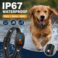 Collier anti-aboiement intelligent pour chiens