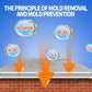 🔥2025 Hot Sale🔥Highly Effective Mould Removal Spray - Prevents Mould Regrowt