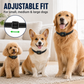 Collier anti-aboiement intelligent pour chiens