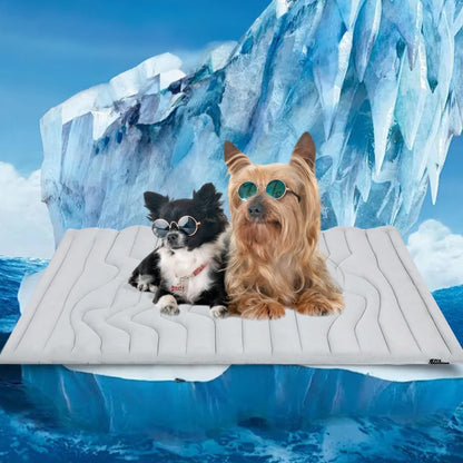 💥DERNIER JOUR DE PROMOTION : 50 % DE RÉDUCTION💥Tapis rafraîchissant écologique pour chien, coussin rafraîchissan