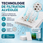 🐠 1 acheté, 1 offert ! ✨ FEUILLES CLARIFIANTES POUR AQUARIUM - Une eau cristalline en 24 heures, élimine les odeurs et les impuretés, sans danger pour tous les poissons et toutes les plantes 🌿🔮