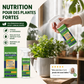 🔥Offre à 50 % de réduction pour une durée limitée🔥 Solution nutritive pour plantes