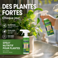 🔥Offre à 50 % de réduction pour une durée limitée🔥 Solution nutritive pour plantes