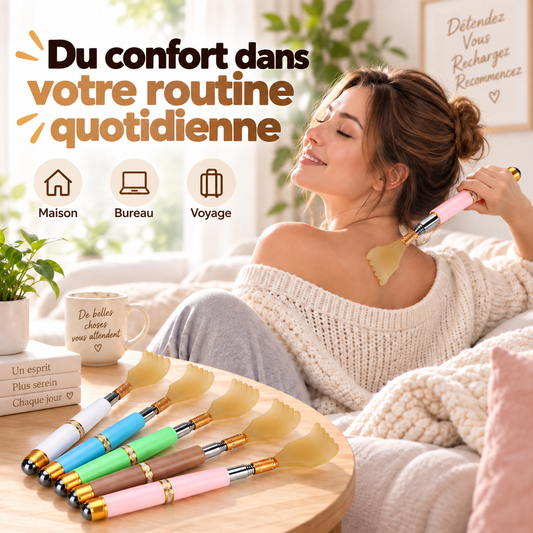 Grattoir à dos télescopique en acier inoxydable