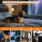 🐾 Bandeau cache-oreilles apaisant et imperméable pour chien – feux d’artifice et toilettage | Offre Halloween −50 %