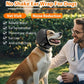 🐾 Bandeau cache-oreilles apaisant et imperméable pour chien – feux d’artifice et toilettage | Offre Halloween −50 %