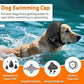 🐾 Bandeau cache-oreilles apaisant et imperméable pour chien – feux d’artifice et toilettage | Offre Halloween −50 %