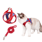 🔥Last Day Sale 50% OFF🔥Cat Harness & Leash