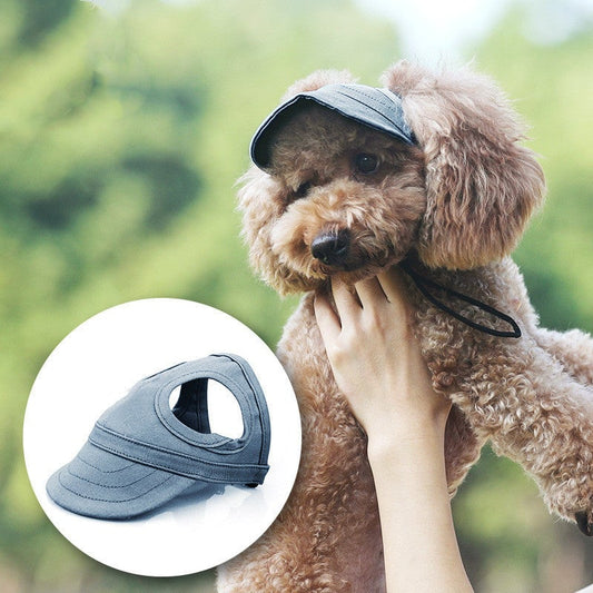 🔥 50 % DE RÉDUCTION – Chapeau pour chien, confortable et tendance 🐶🎩