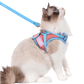 🔥Last Day Sale 50% OFF🔥Cat Harness & Leash