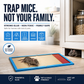 ⏳🔥50 % DE RÉDUCTION POUR UNE DURÉE LIMITÉE ! ⏰Piège à souris adhésif pour usage intérieur à la maiso