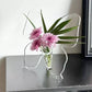 🦋 50% DE RÉDUCTION! 💐 Vase papillon transparent – Plastique cristallin & base stable ✨