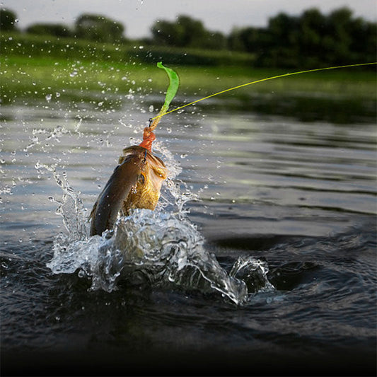 Fil de Pêche Ultra-Résistant