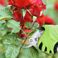 Gants de jardinage professionnels