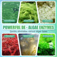 Nettoyant anti-algues pour aquarium