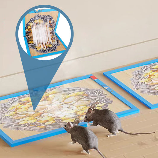 Piège à souris collé pour l'intérieur de la maison