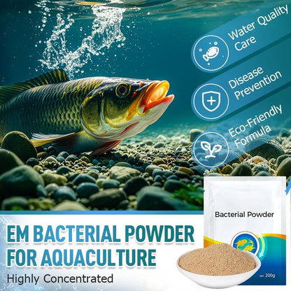 Poudre bactérienne EM hautement concentrée pour l'aquaculture