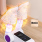 Shoe Deodorizer and Dryer