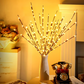 🌿 ACHETEZ 2 OBТENEZ 3! ✨ GUIRLANDE LED "BRANCHE DE SAULE" - 5 Modes Clignotants & Alimentation par Piles, Décoration Éthérée pour Chambre et Fêtes, Installation Facile sans Fil 🌙🎉