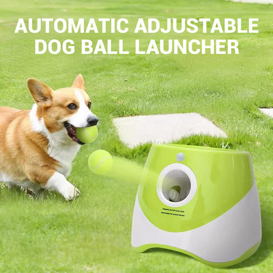 Lanceur de balles automatique réglable pour chien