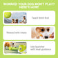 Lanceur de balles automatique réglable pour chien