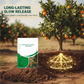 Engrais à libération contrôlée pour fruit