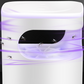 ✨Retours limités à l'été& 70% de réduction✨🔇🦟UV Fly Trap with Transparent Catch Box