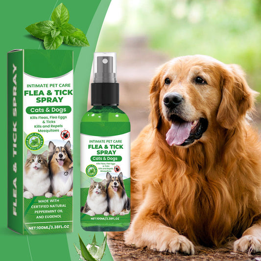Spray naturel anti-puces et anti-tiques pour chiens et chats🐾 Protégez votre animal de compagnie bien-aimé contre les parasites