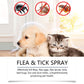 Spray naturel anti-puces et anti-tiques pour chiens et chats🐾 Protégez votre animal de compagnie bien-aimé contre les parasites