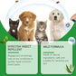 Spray naturel anti-puces et anti-tiques pour chiens et chats🐾 Protégez votre animal de compagnie bien-aimé contre les parasites