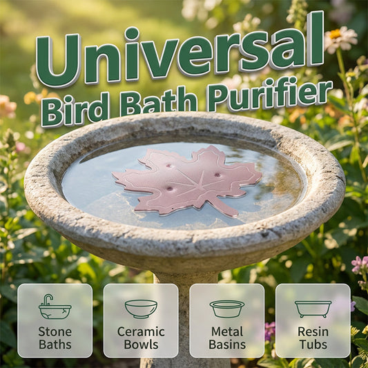 Purificateur universel pour bains d'oiseau