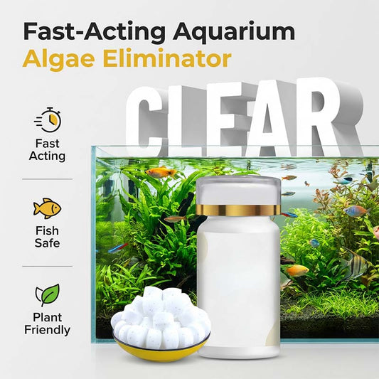 Produit anti-algue et anti-mousse pour aquariu