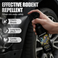 Spray répulsif efficace contre les rongeurs pour les voiture