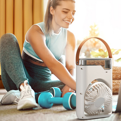 Climatiseur portable multifonctionnel