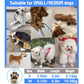 🐾 Chaussons jetables pour pattes de chien | Lot de 20 à 60