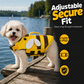 Gilet de sauvetage pour animaux de compagnie avec un joli motif d'abeille et de libellul