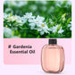 Diffuseur d’aromathérapie automatique