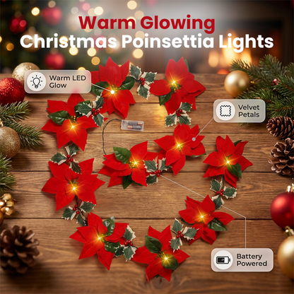Guirlande lumineuse de Noël avec des poinsettias