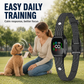 Collier anti-aboiement intelligent pour chiens