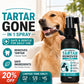 Spray nettoyant dentaire doux pour animaux de compagni