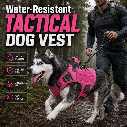 ⏳Offre spéciale à durée limitée⏰ Gilet-harnais pour chien en tissu Oxford résistant – Sûr, réglable, confortable 🥾✨