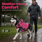 ⏳Offre spéciale à durée limitée⏰ Gilet-harnais pour chien en tissu Oxford résistant – Sûr, réglable, confortable 🥾✨