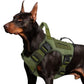 ⏳Offre spéciale à durée limitée⏰ Gilet-harnais pour chien en tissu Oxford résistant – Sûr, réglable, confortable 🥾✨