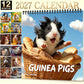 ⏳50 % de réduction pour une durée limitée⏰Adorable calendrier mural avec des cochons d'Inde