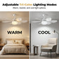 Ventilateur de plafond LED 2-en-1 avec fonction de refroidissement