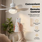 Ventilateur de plafond LED 2-en-1 avec fonction de refroidissement