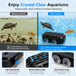 Collecteur de déjections pour aquarium et nettoyeur de déchets