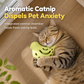 🐦 Distributeur de friandises pour animaux de compagnie en forme d'oiseau